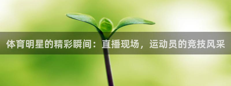 体育明星的精彩瞬间：直播现场，运动员的竞技风采
