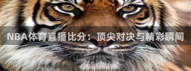 NBA体育直播比分：顶尖对决与精彩瞬间