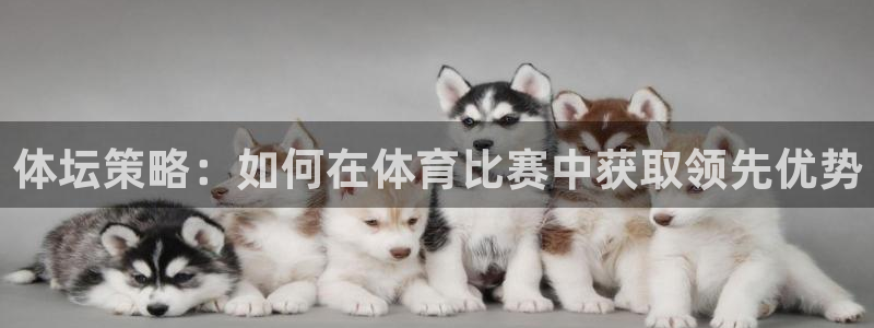 体坛策略：如何在体育比赛中获取领先优势
